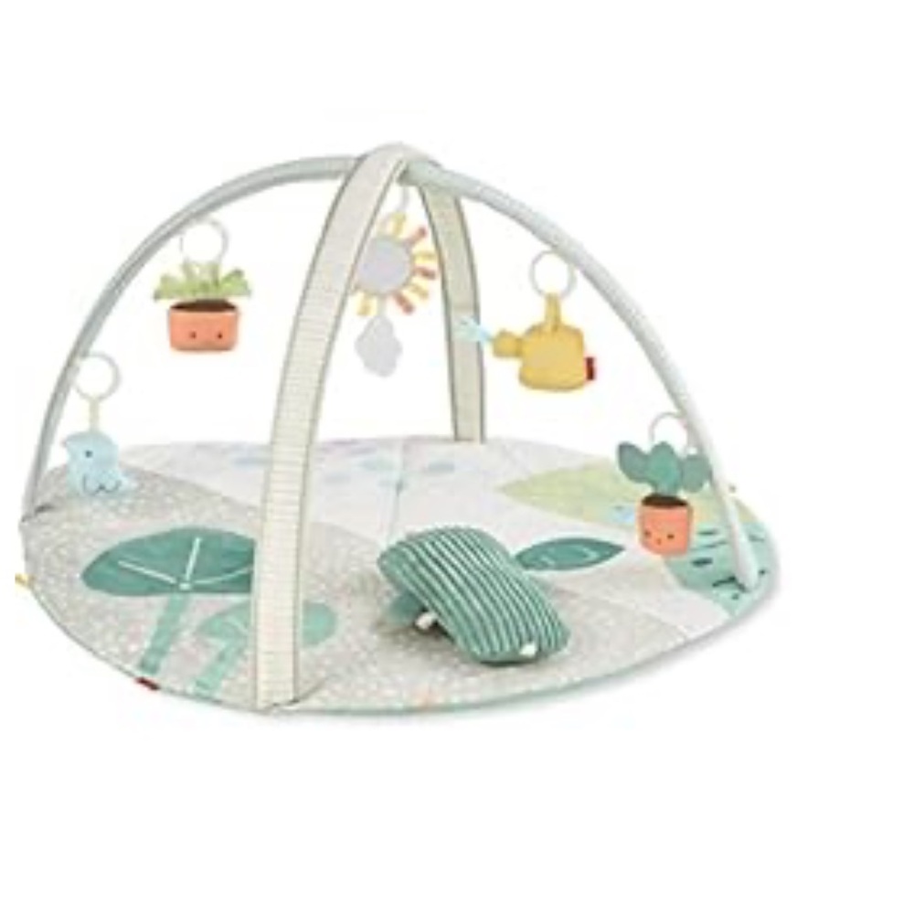 Baby play gym